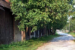 Buydnki - krajobraz ulic stodolnych